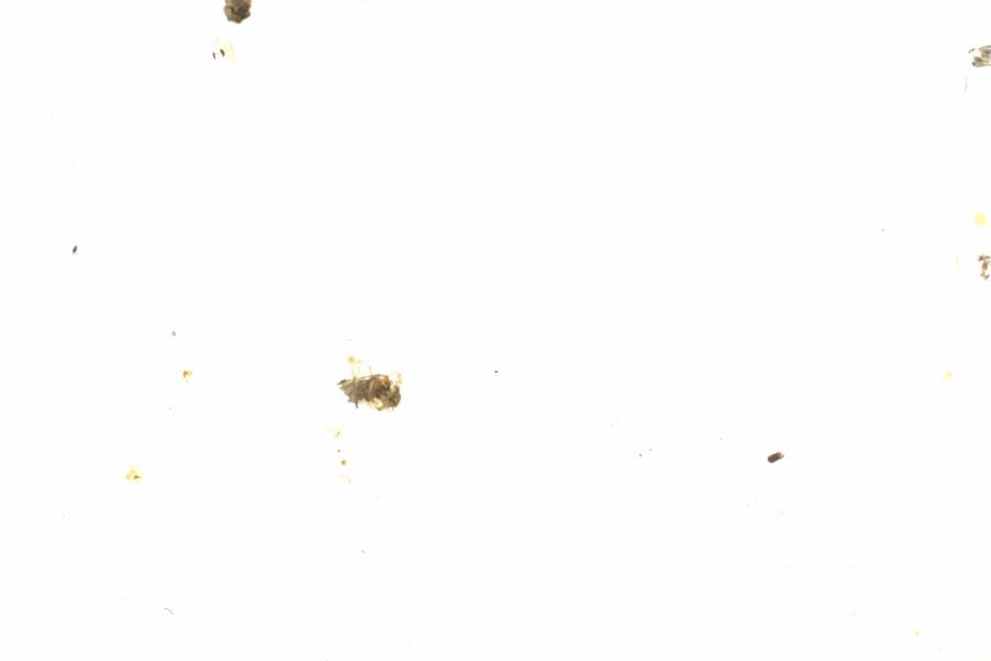 Fullscreen Image