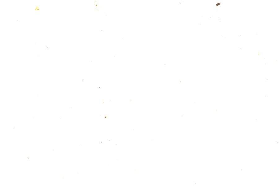 Fullscreen Image