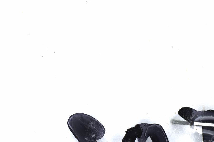 Fullscreen Image