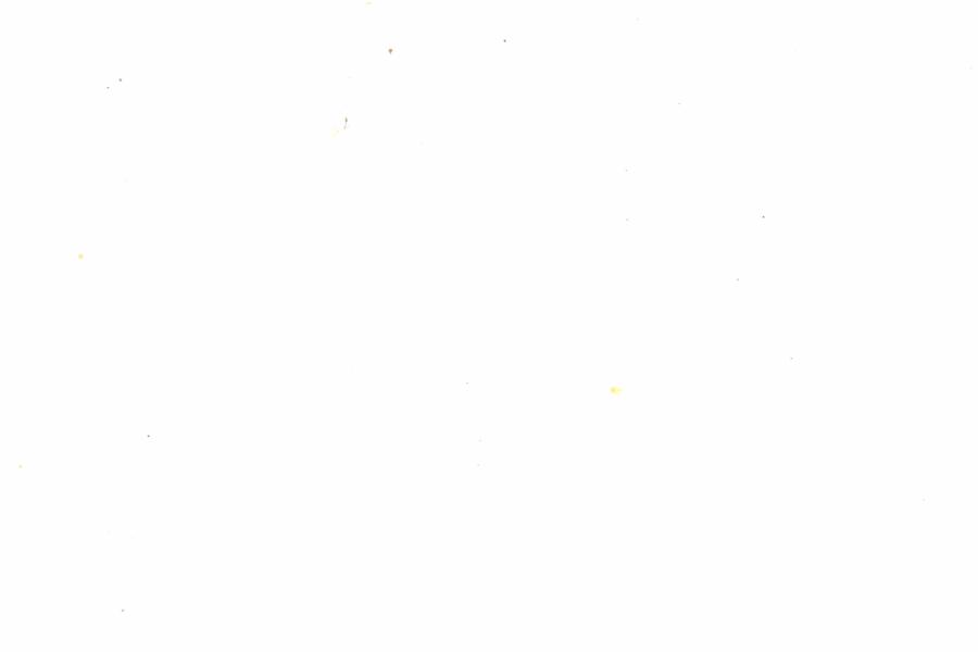 Fullscreen Image